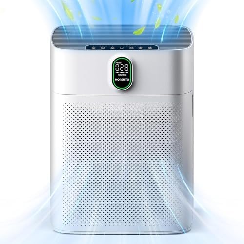 Navigating the World of Air Purifiers: Determining the Ideal Number for Your Space