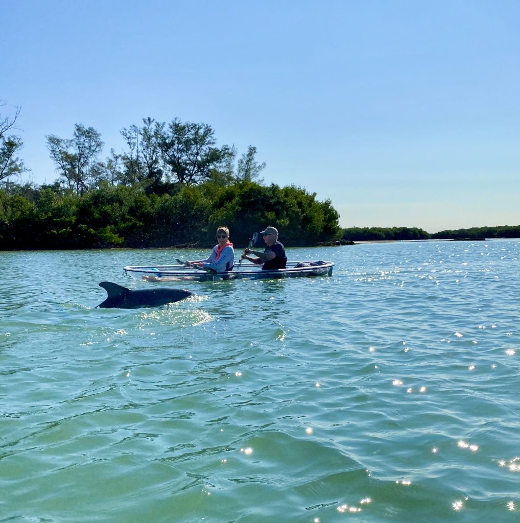 shell key preserve