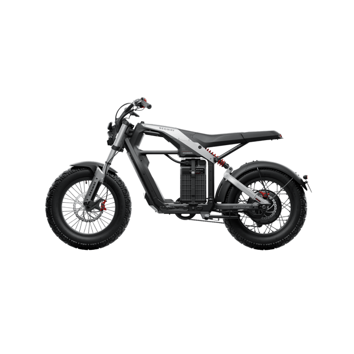 electric motorcycle for adults