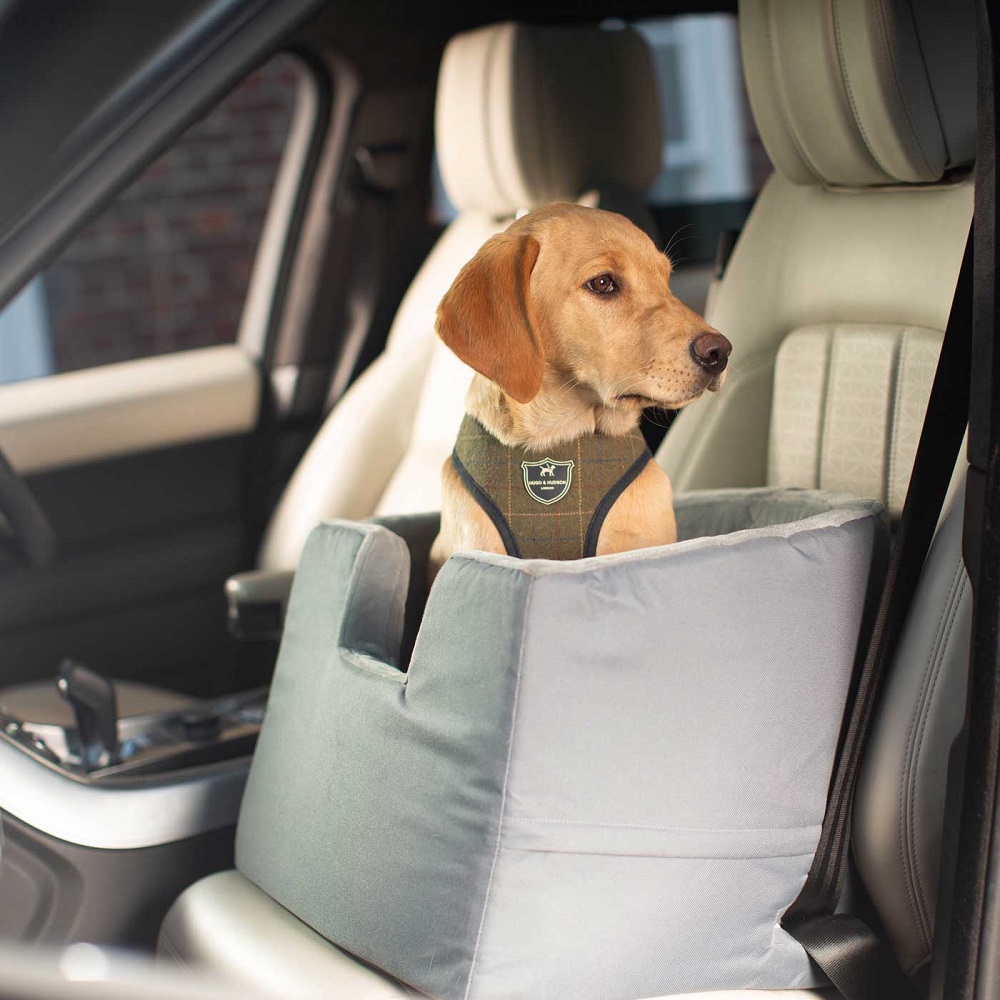 dog car seat