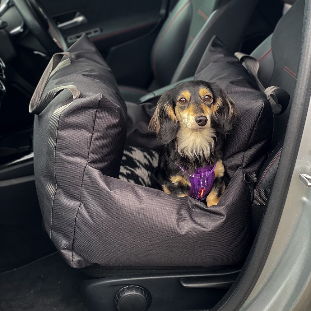 dog car seat