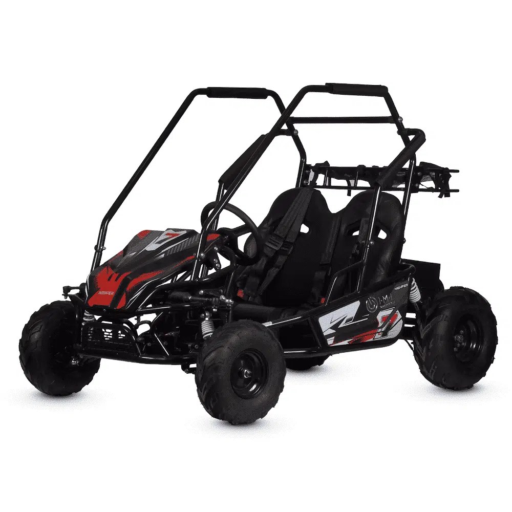 vehicle-buggy-racing