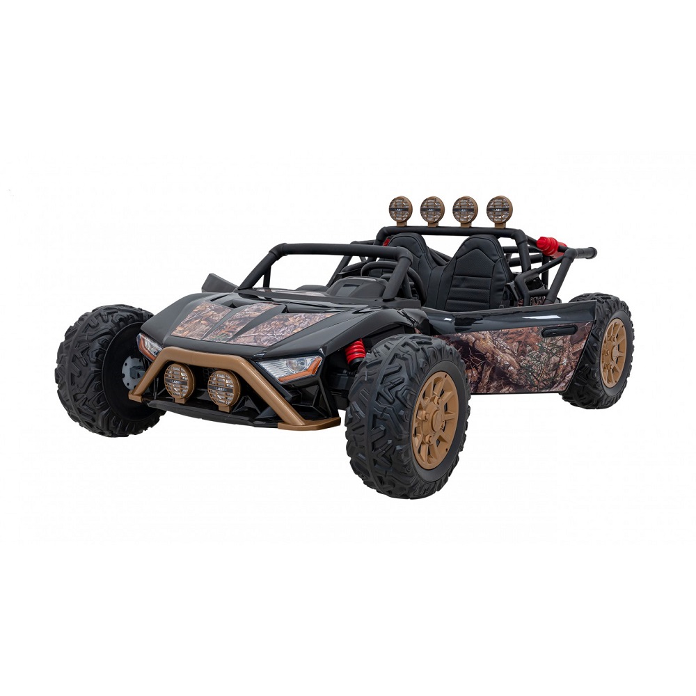 vehicle-buggy-racing