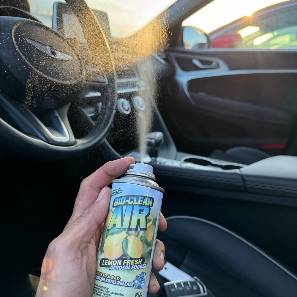 car smell