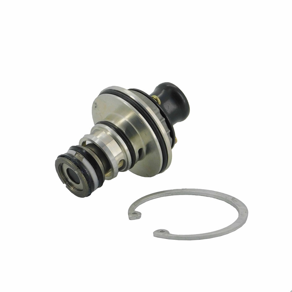 cartridge purge valve