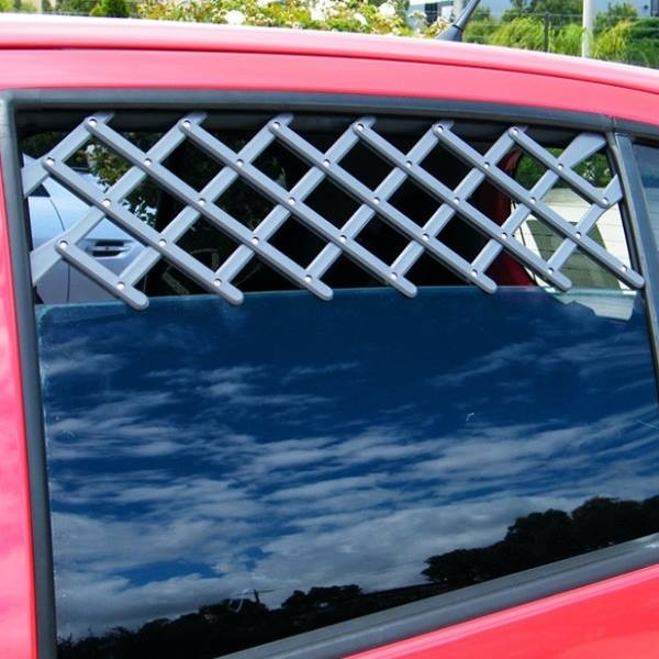 window tint