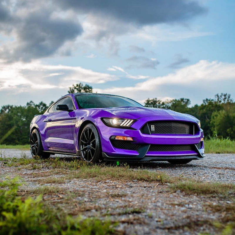 purple car