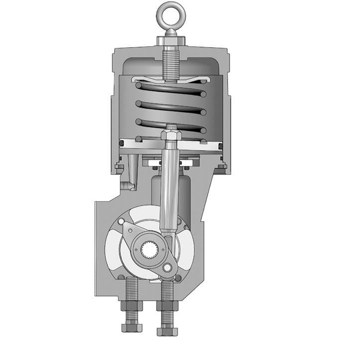 rotary piston