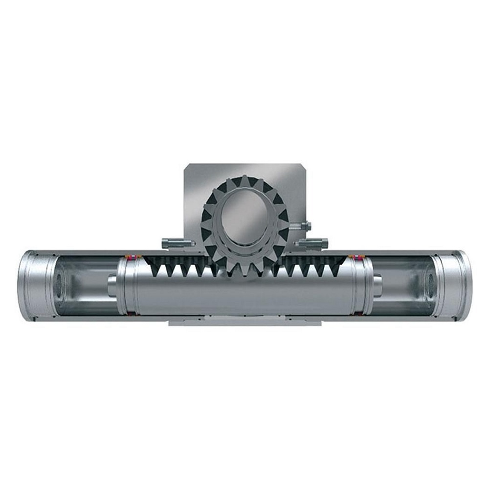 rotary piston