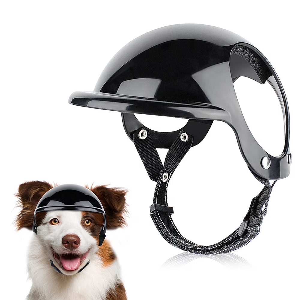 dog motorcycle helmet