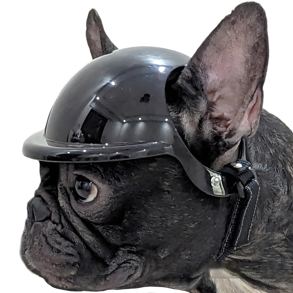 Dog Motorcycle Helmet: Top Features to Look for in Safe Designs