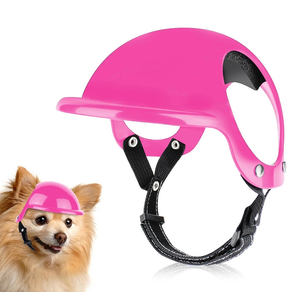 dog motorcycle helmet