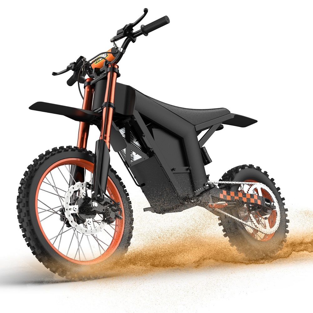 electric dual sport motorcycle