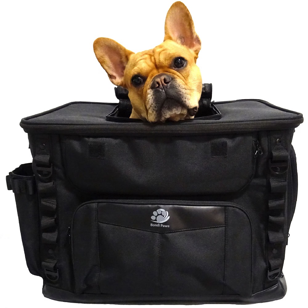 dog motorcycle carrier