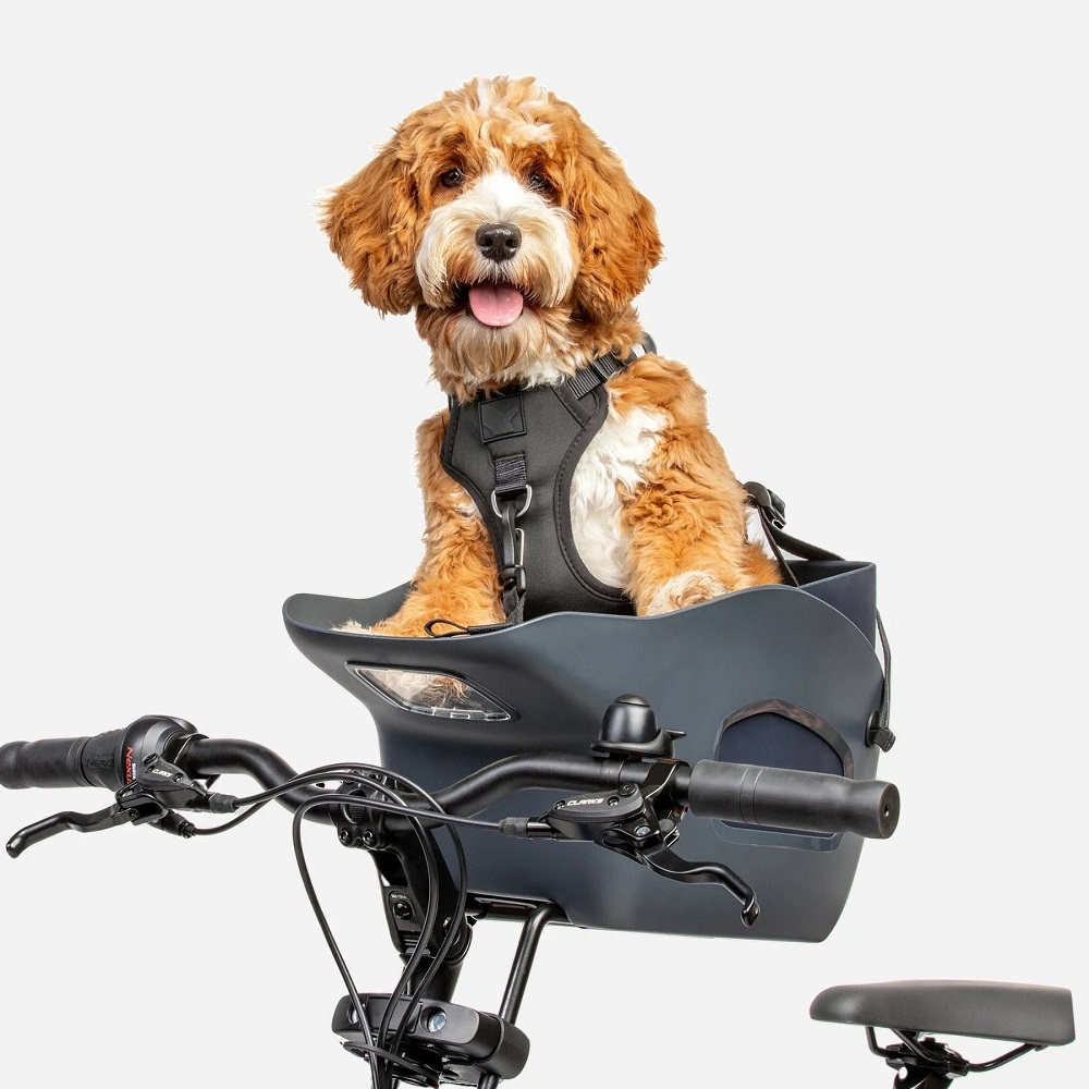 dog motorcycle carrier