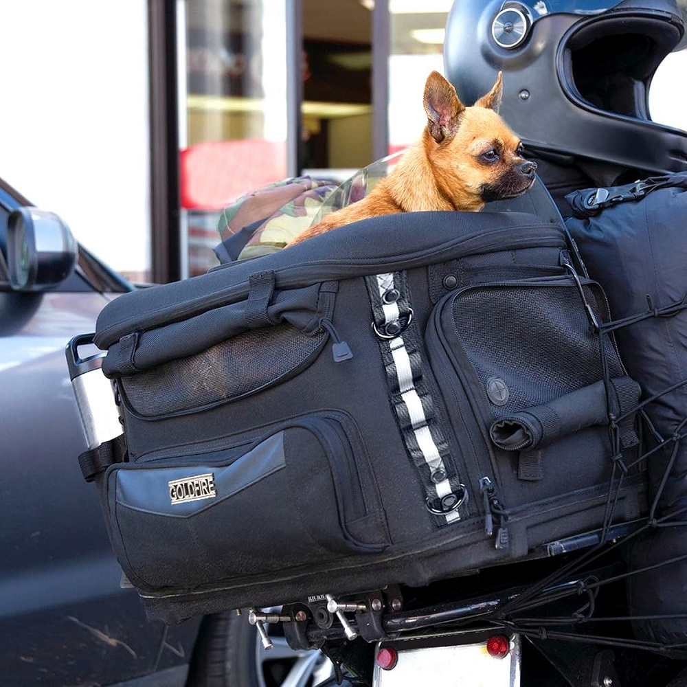 dog motorcycle carrier