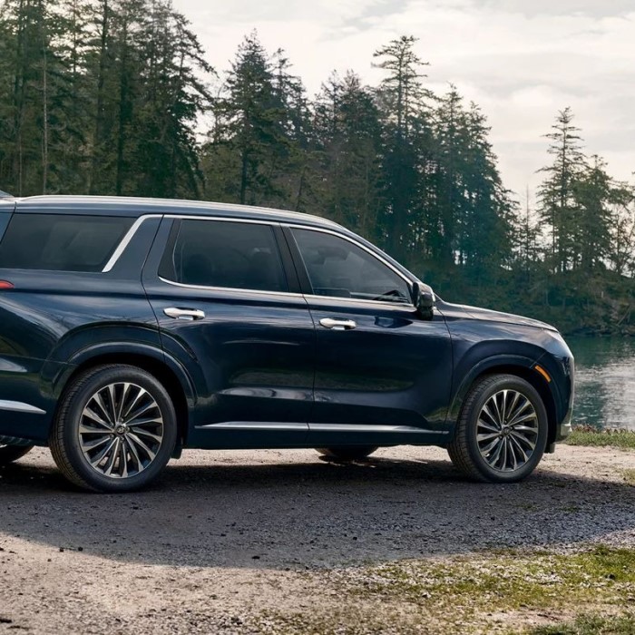 palisade trim levels