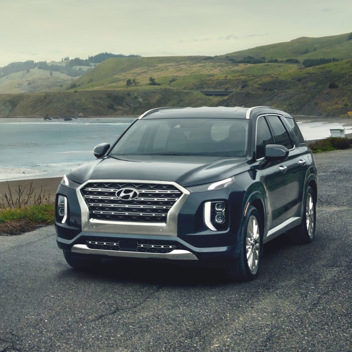 palisade trim levels