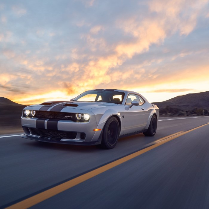 how much does a hellcat cost