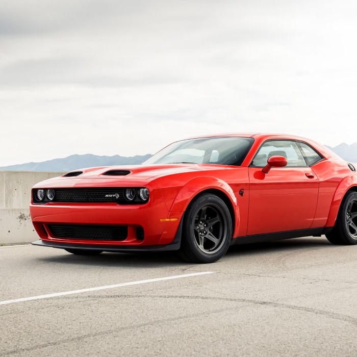 how much does a hellcat cost