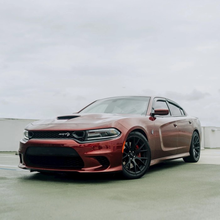how much does a hellcat cost