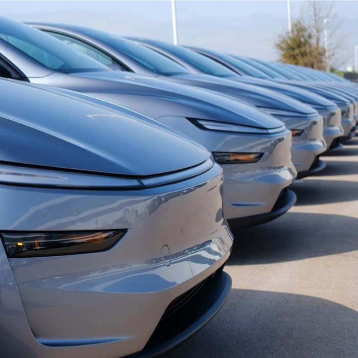 tesla warranty model y