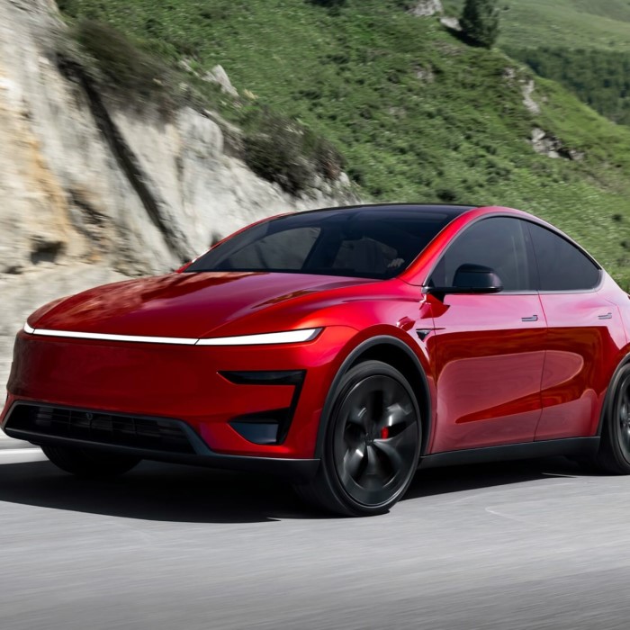 tesla warranty model y