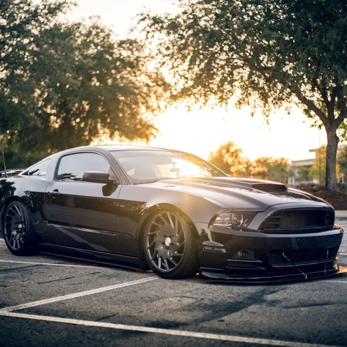 lowered cars