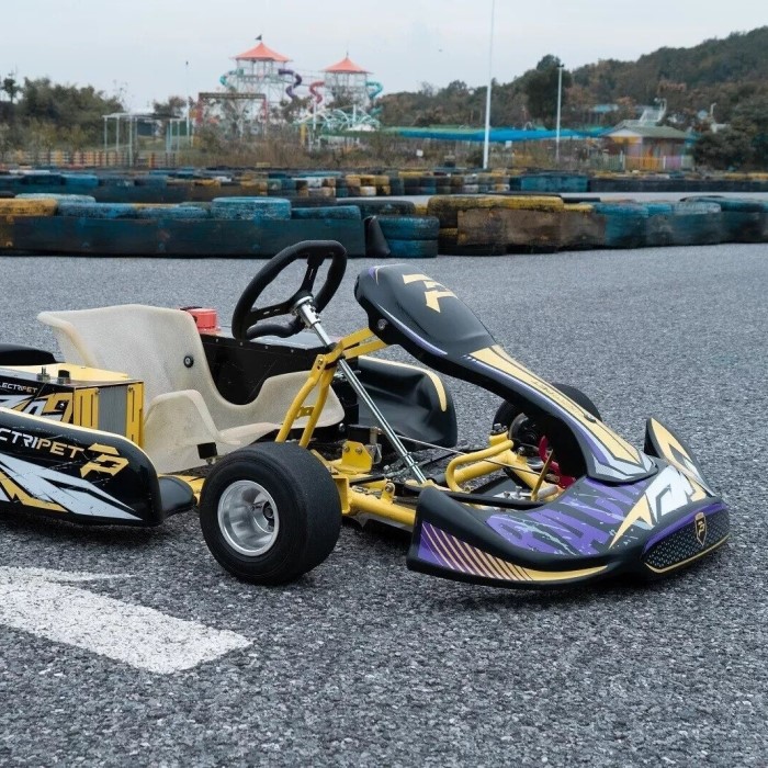 Electric Go Karts for Adults: 2026 Guide to Eco-Friendly Racing