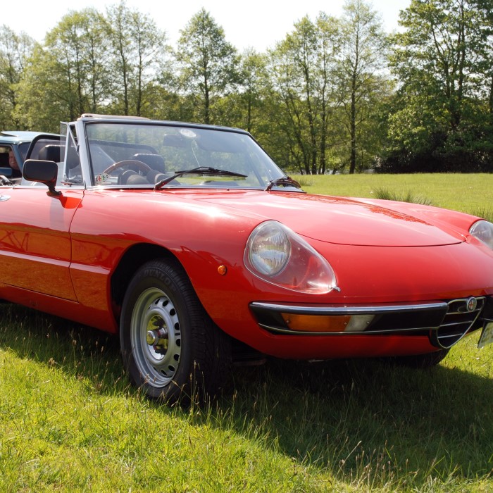 classic alfa romeo