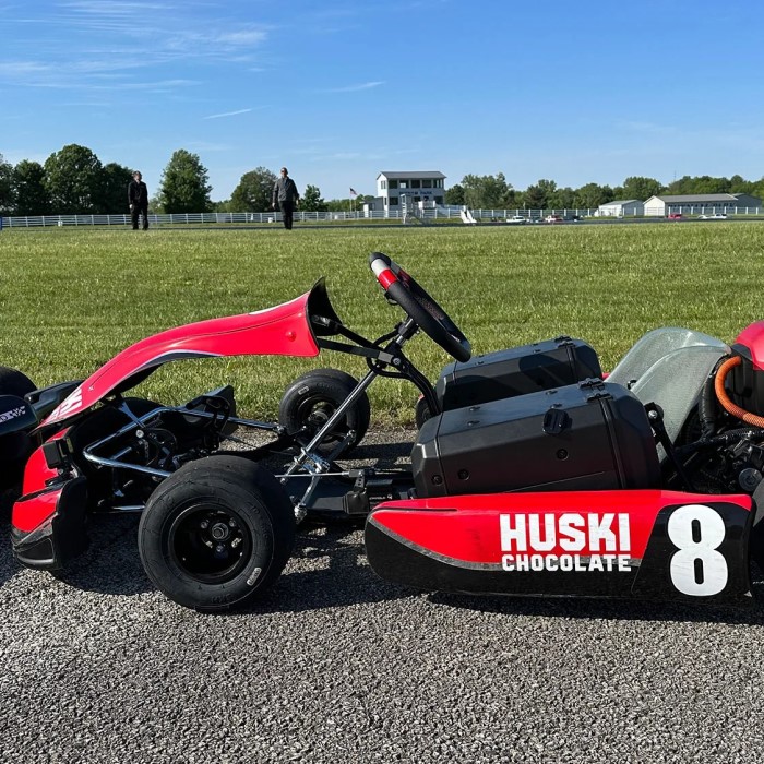 electric go karts for adults