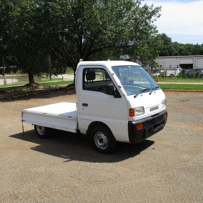 suzuki mini truck
