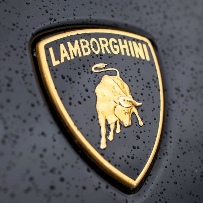 Lambo Symbol: How It Represents Luxury and Performance