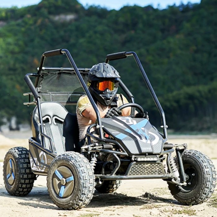 electric go karts for adults
