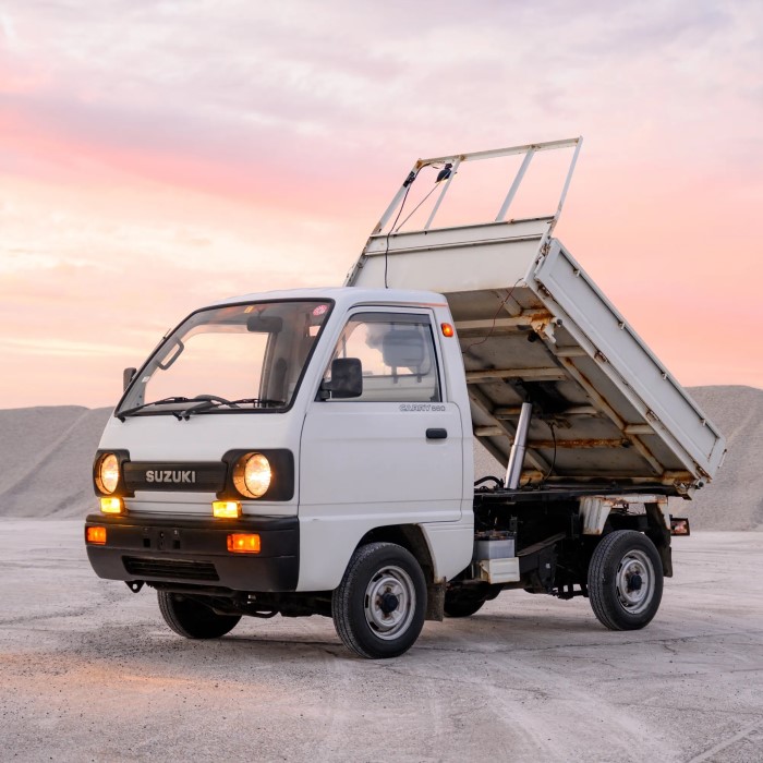 suzuki mini truck