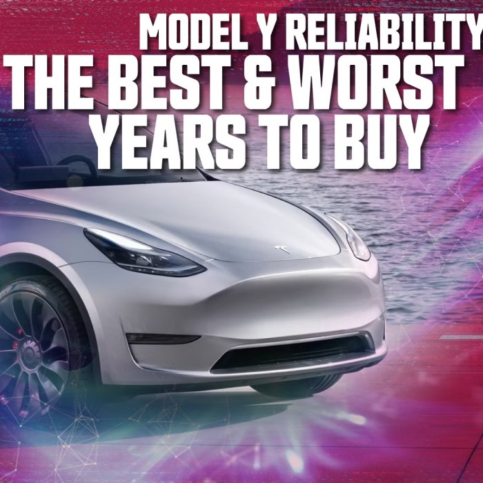 tesla warranty model y