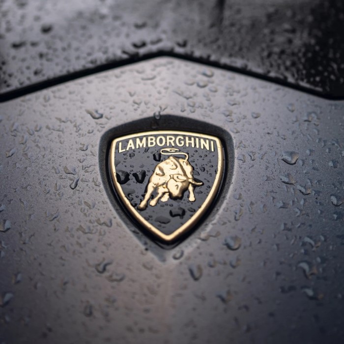 lambo symbol