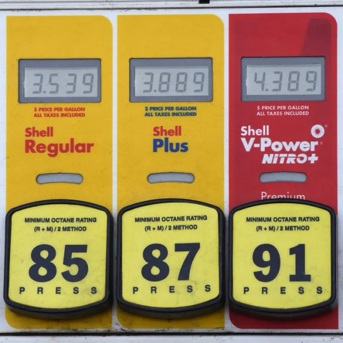 how much does gas cost per month