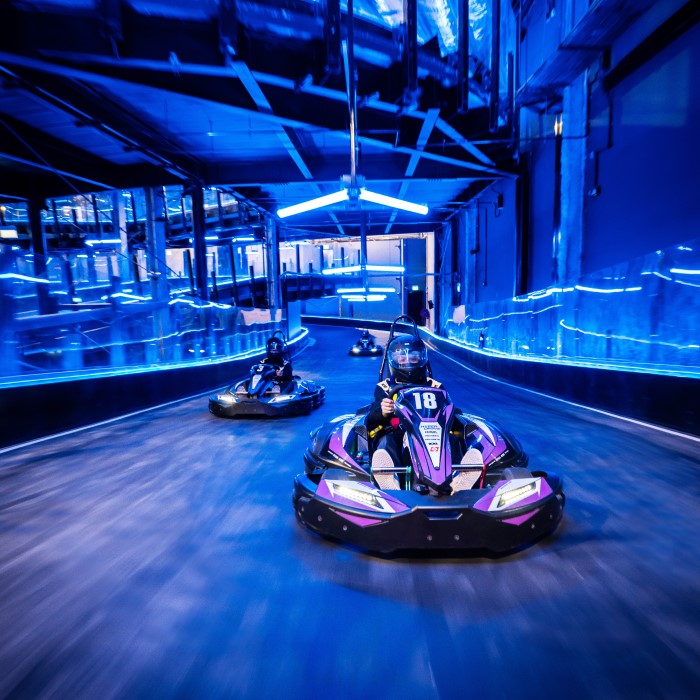 electric go karts for adults
