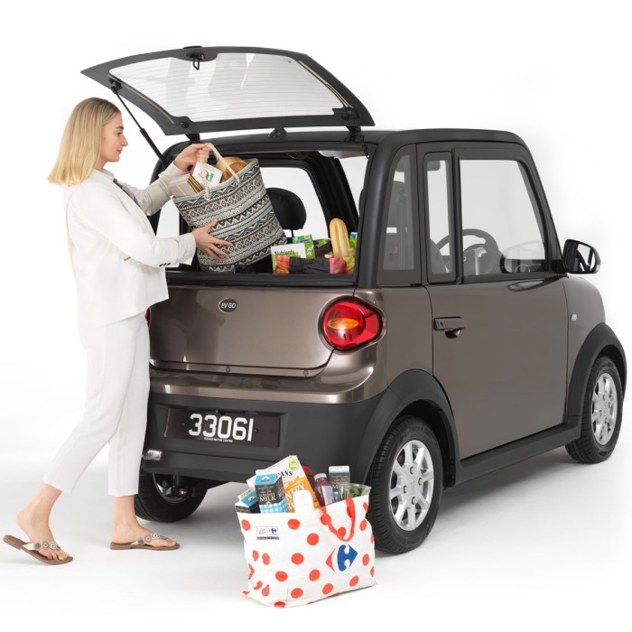 mini electric cars