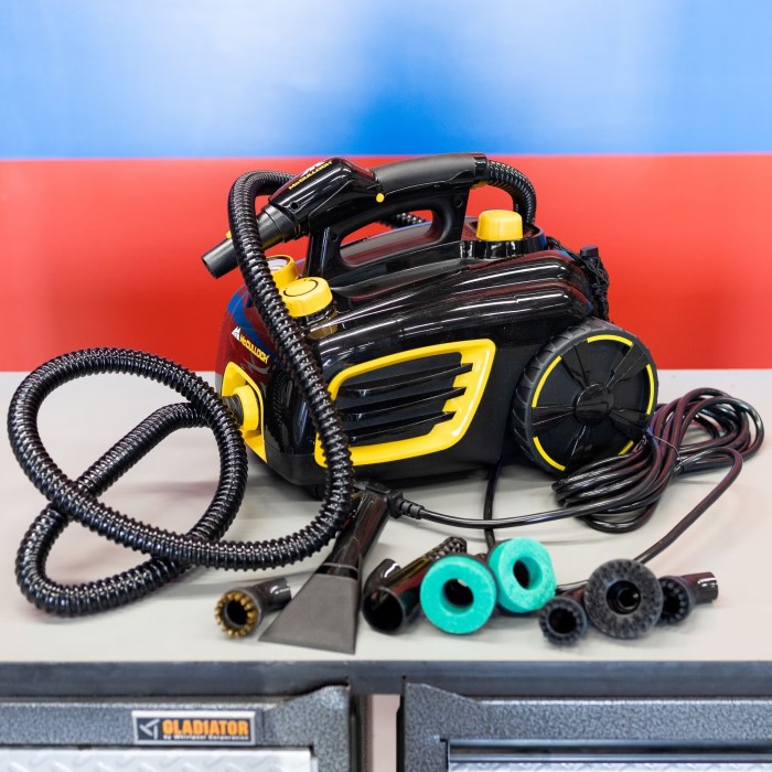 car steam cleaner
