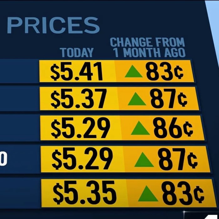 how much does gas cost per month