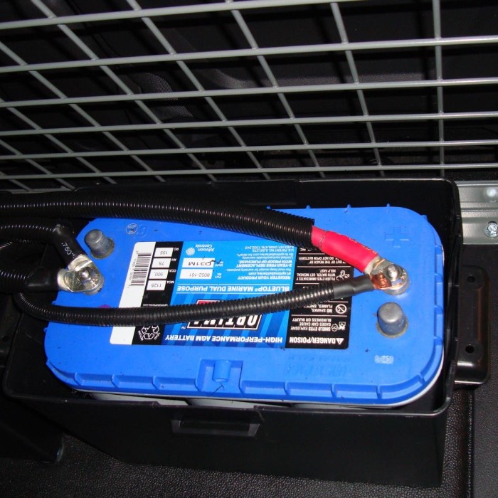 optima blue top battery