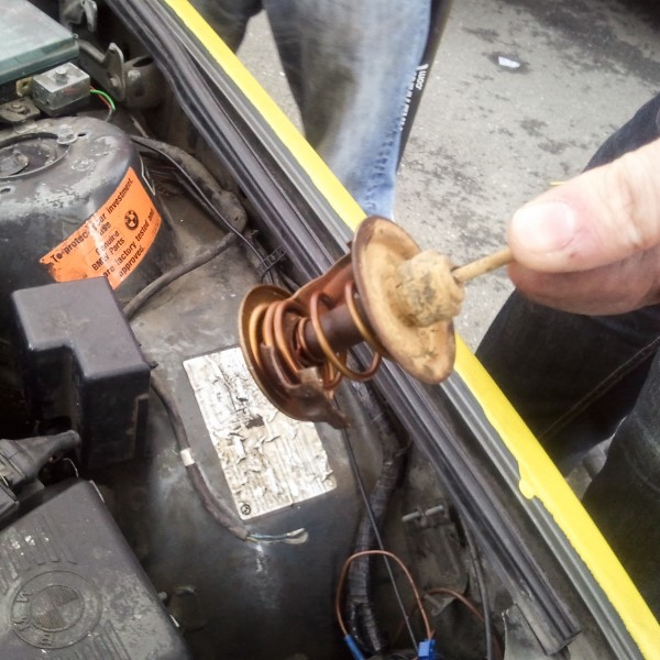 car thermostat replacement
