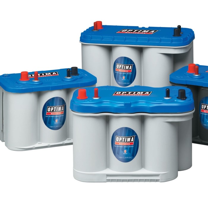 optima blue top battery