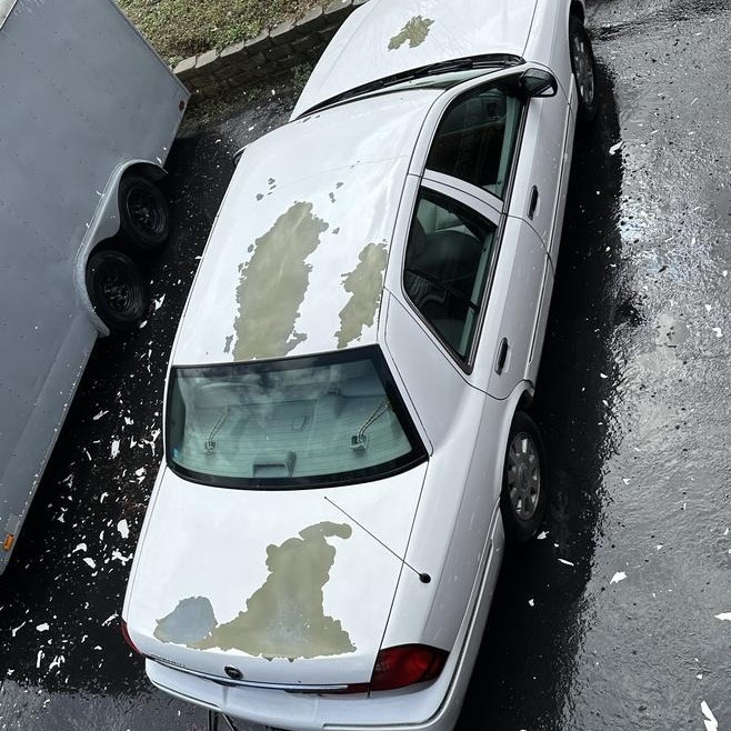 maaco paint job cost