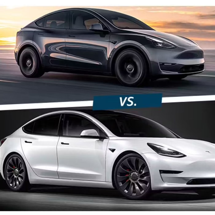 difference between tesla models
