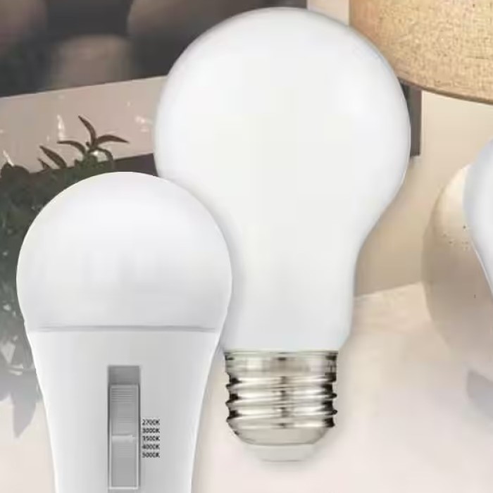 automotive bulb finder