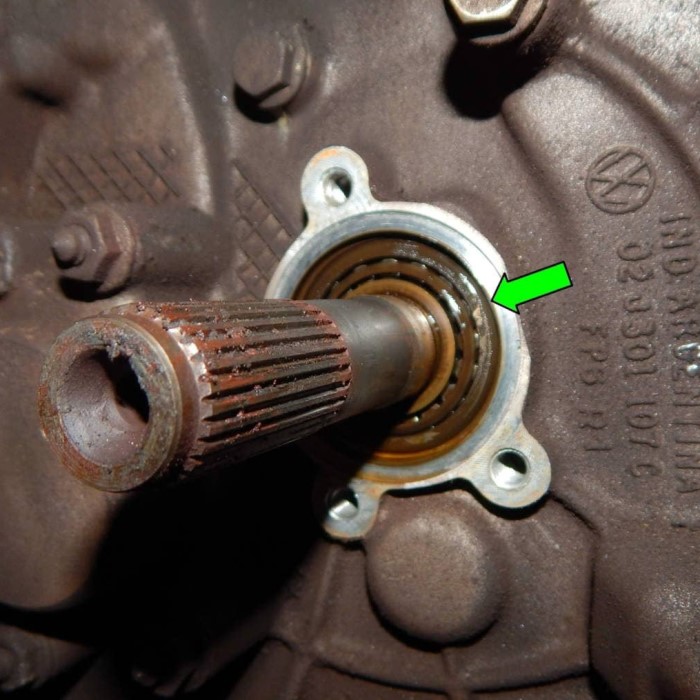 input shaft seal