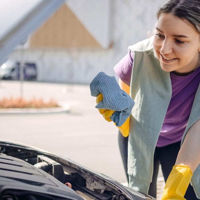 engine cleaning